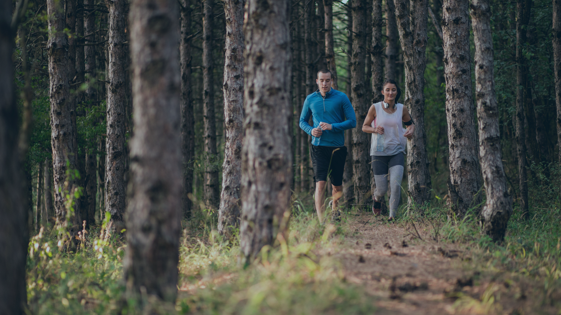 Oplev Danmark i fodhøjde fra et sommerhus