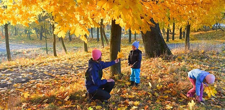 Efterår, mor og børn i skov
