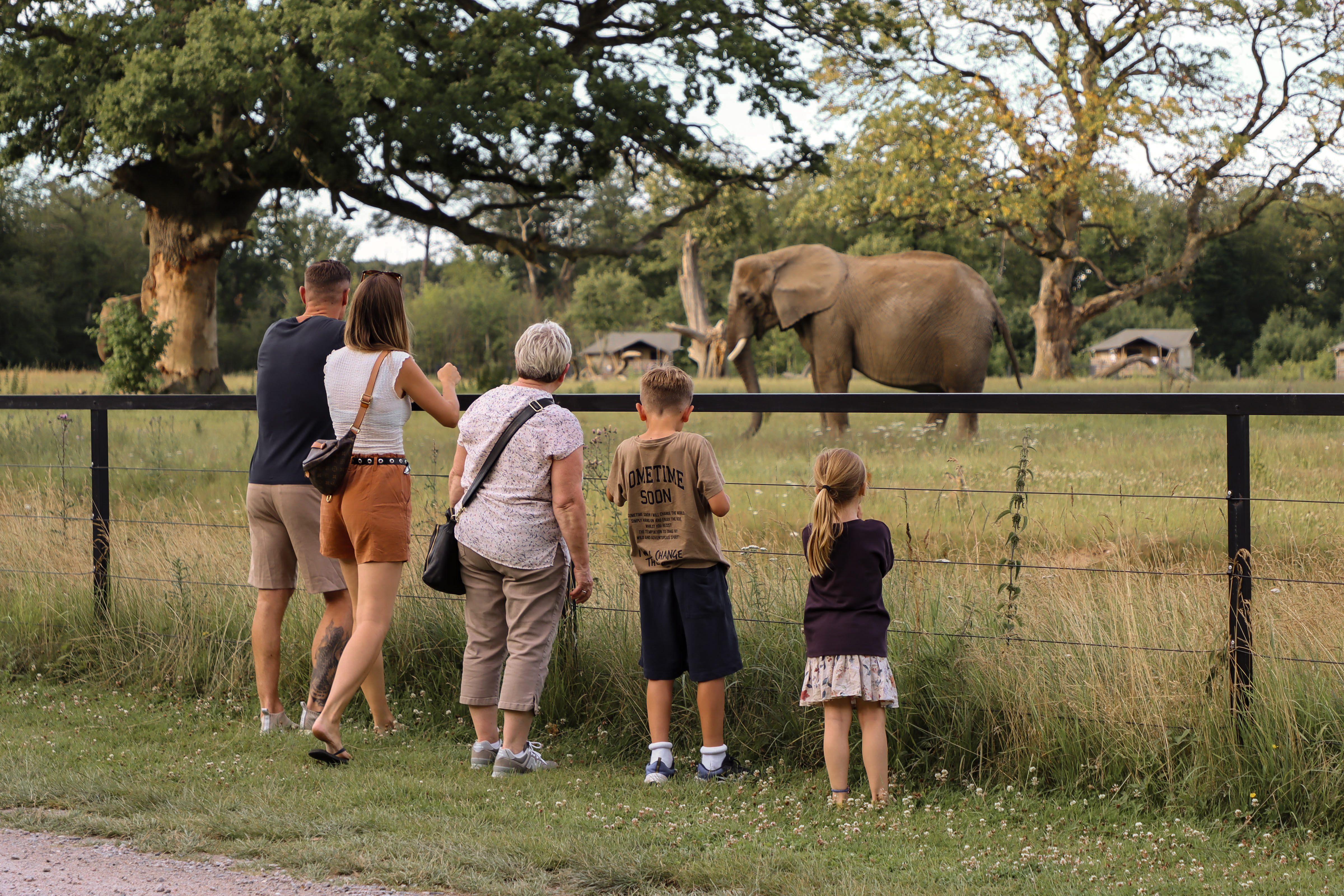 Krediteres Knuthenborg 112