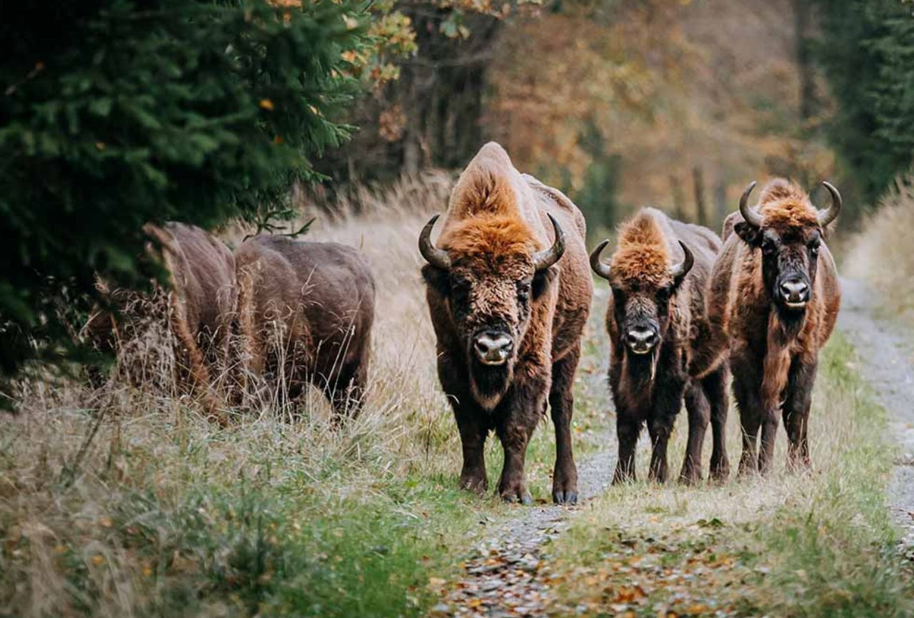 Design Uden Navn (5)