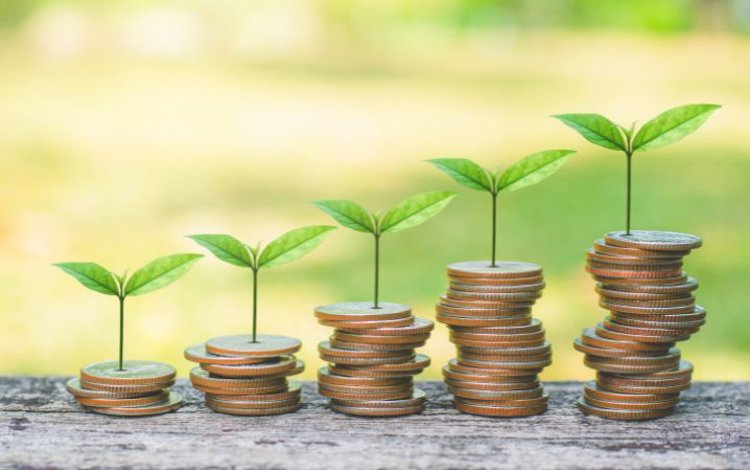 Politik for ansvarlighed