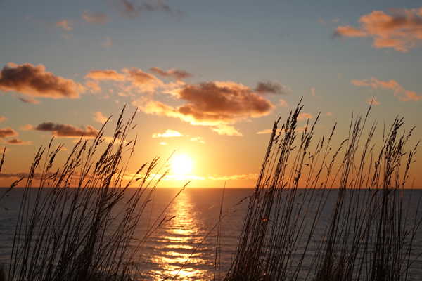 Tryg økonomi og beskeden indsats