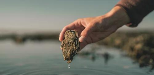 Stranden ved Løkken