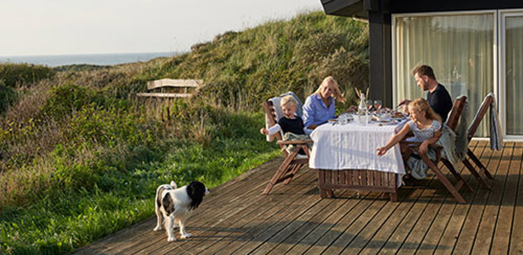 Tag hunden med på ferie