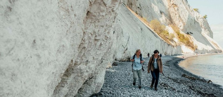 Møns Klint 2288X1000