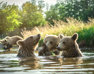 Billede fra Skandinavisk Dyrepark