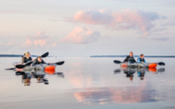 Visionkajak Solnedgangstur