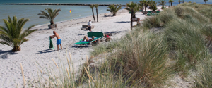 Palmestranden i Frederikshavn