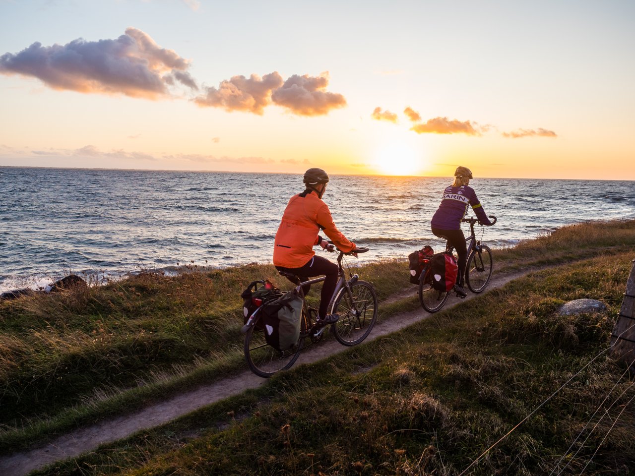 Wendy ved stranden på Fyn
