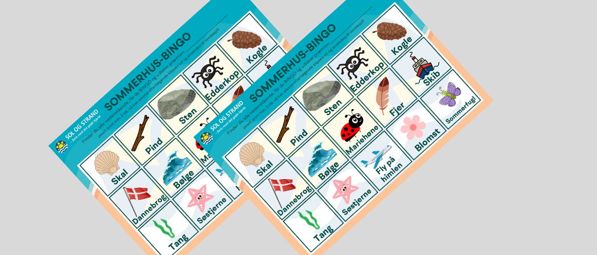 Sommerhus - Bingo